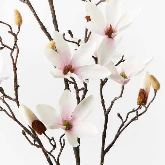 Magnolia Tree Spray - Cream Pink