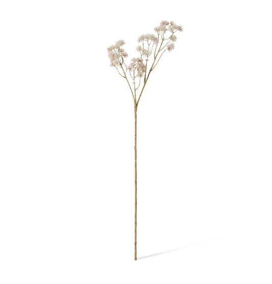 Aralia Deco Seed Spray White