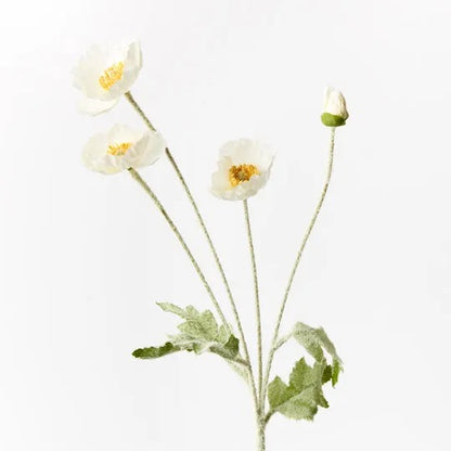 Iceland Poppy Spray White