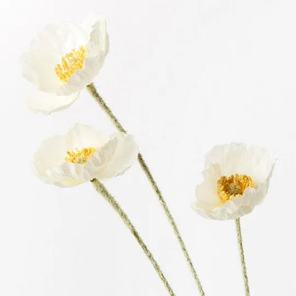 Iceland Poppy Spray White