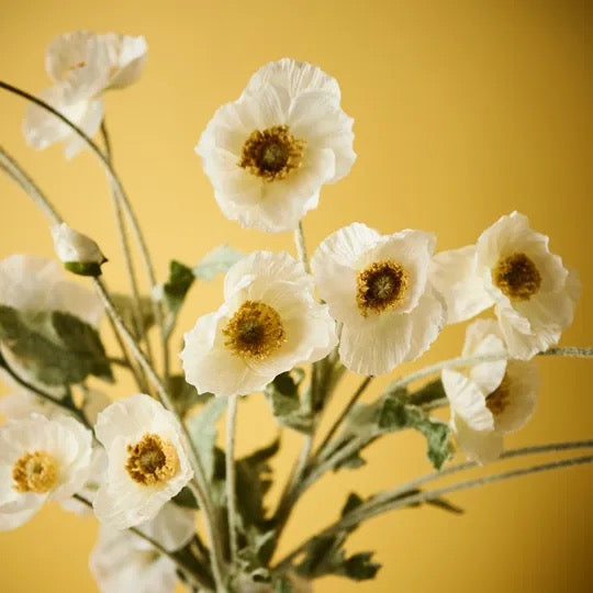 Iceland Poppy Spray White