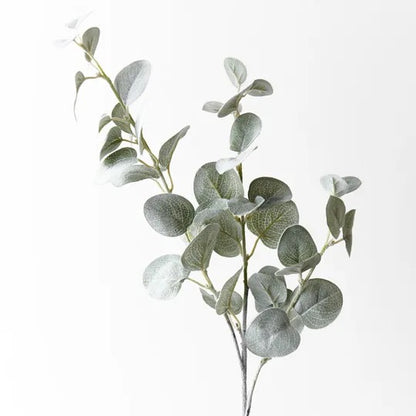 Eucalyptus Spray Grey Green