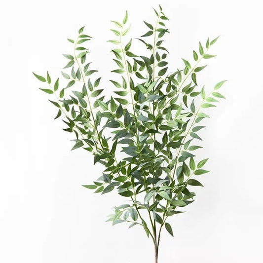 Ruscus Italian Bush Grey Green