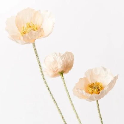 Poppy Iceland Spray Peach