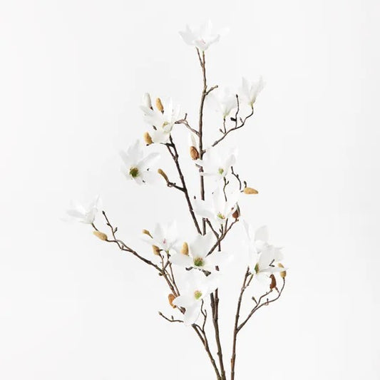 Magnolia Tree Spray White