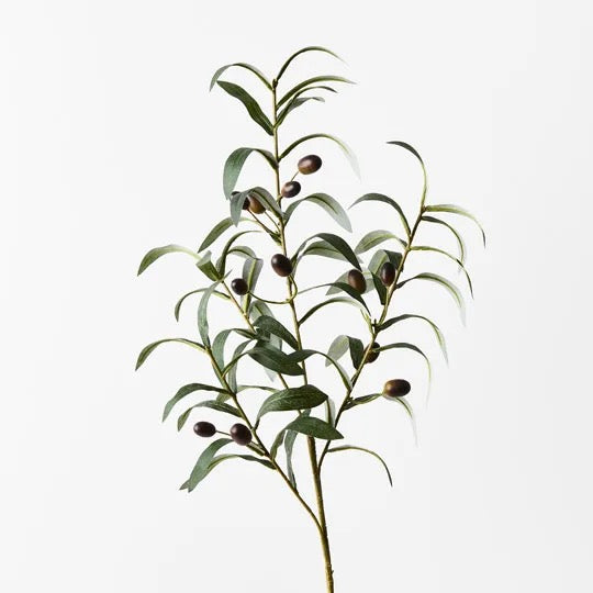 Olive Leaf Spray Green