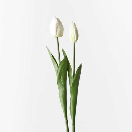 Tulip Bud & Bloom White Set/2