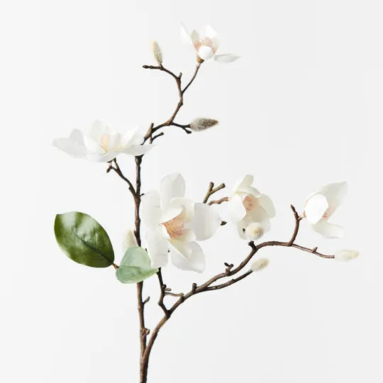 Magnolia Japanese Spray