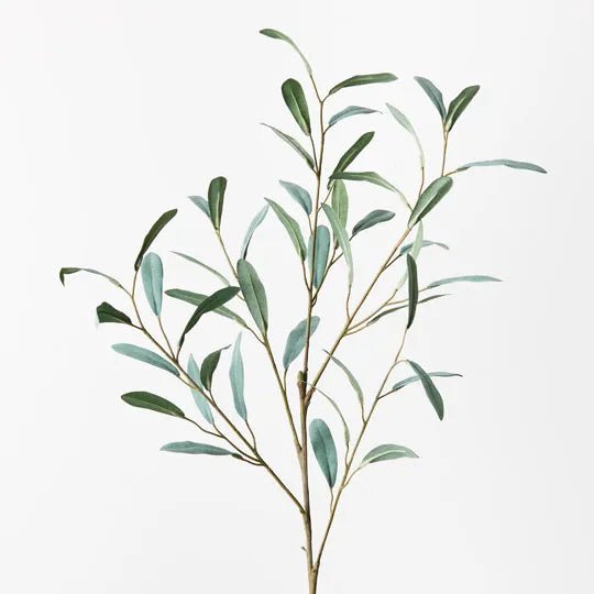 Olive Leaf Spray