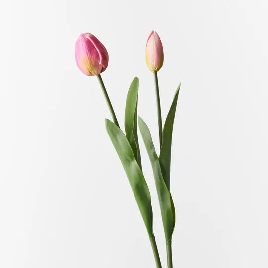 Tulip Bud & Bloom - Fuschia Set/2