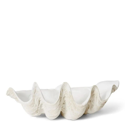 Clam Shell Large Sculpture Off White