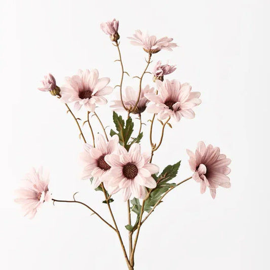 Daisy Spray Dusty Pink