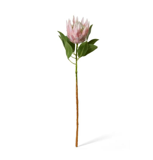 Protea King Stem Soft Pink