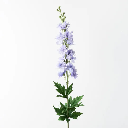 Delphinium Lavender