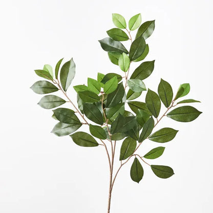 Ficus Retusa Leaf Spray