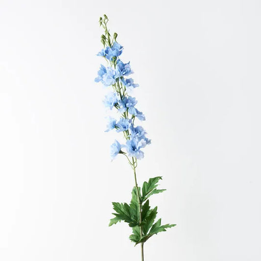 Delphinium Light Blue