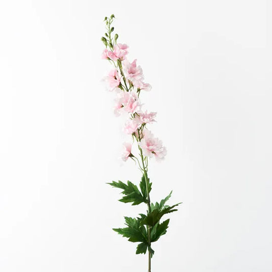 Delphinium Light Pink