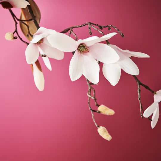 Magnolia Tree Spray - Cream Pink