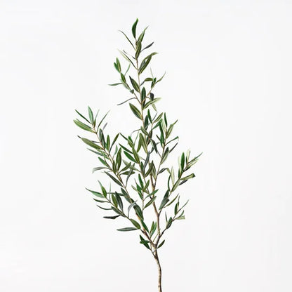 Olive Leaf Spray - Grey Green - 122cml