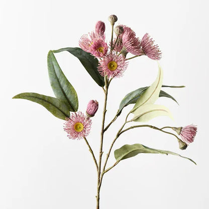 Eucalyptus Flowering Spray